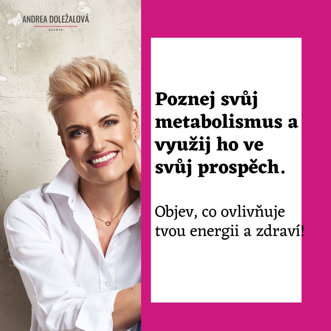 Metabolismus a bazální metabolický výdej
