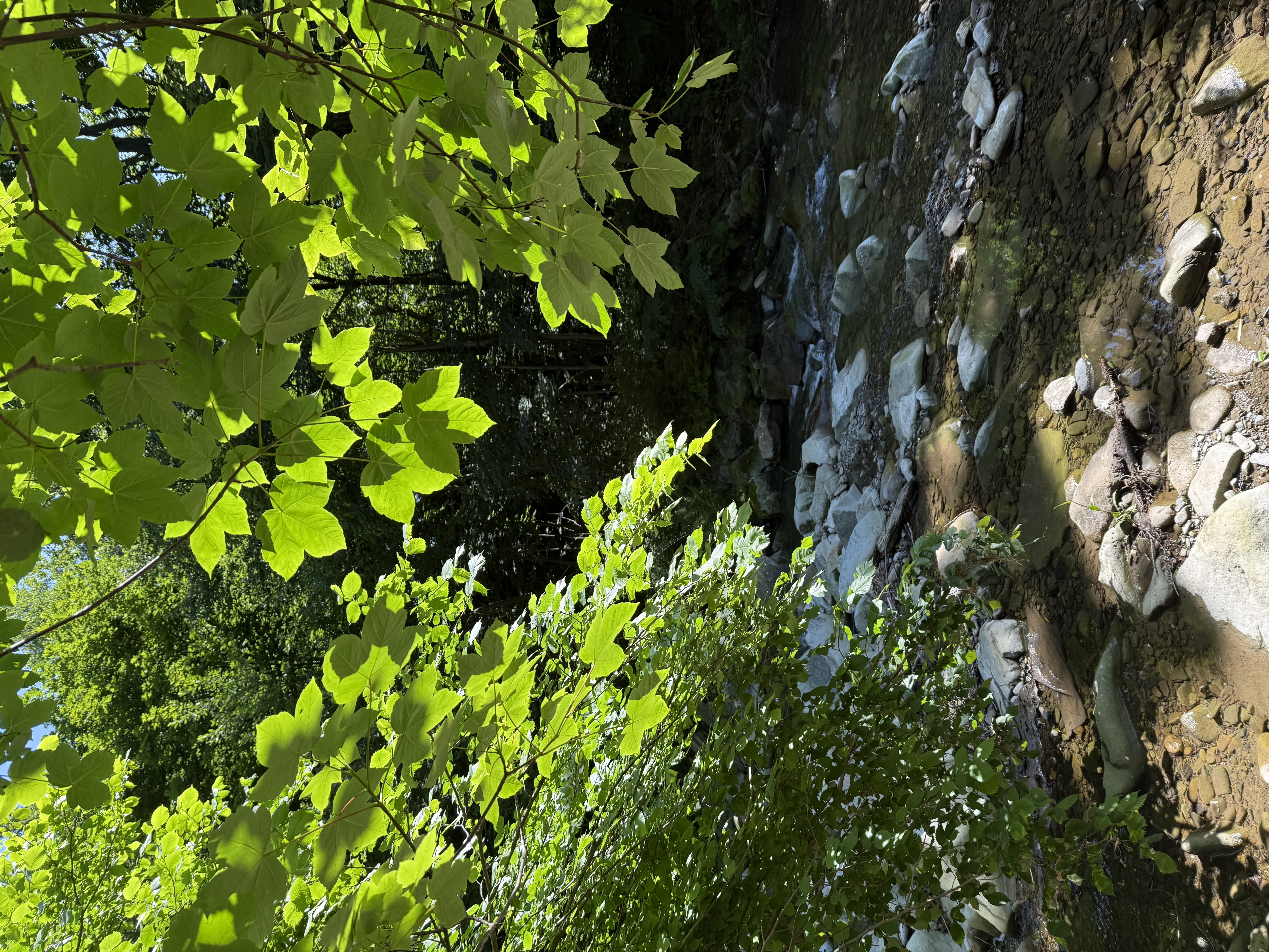 Objevte pozitiva mindfulness